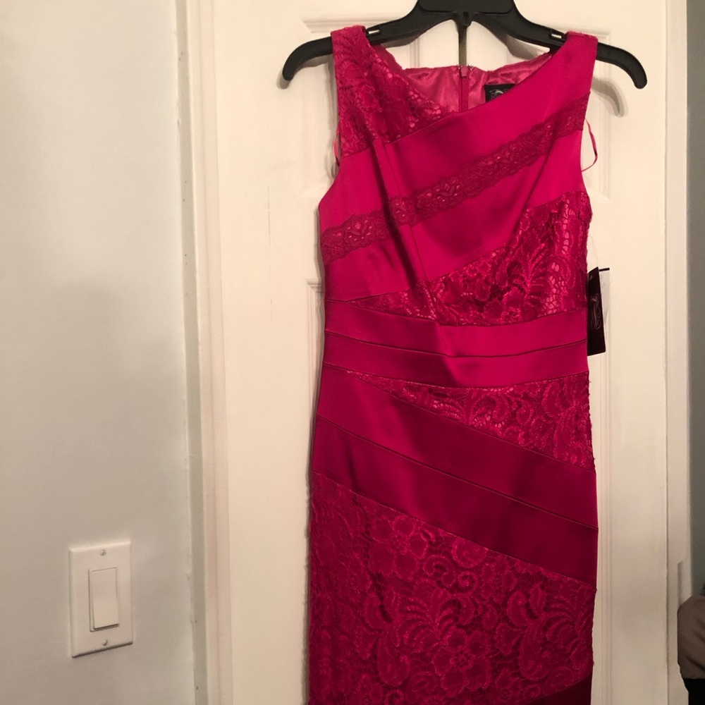 Pink lace dress, new with tags, never worn